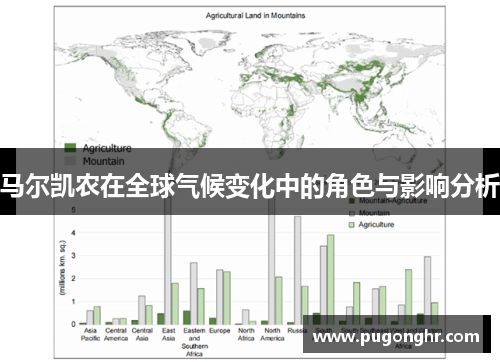 马尔凯农在全球气候变化中的角色与影响分析