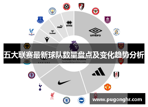 五大联赛最新球队数量盘点及变化趋势分析