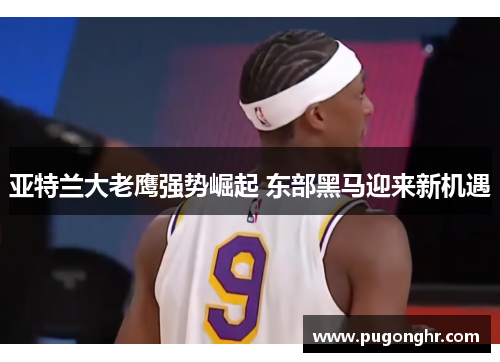 亚特兰大老鹰强势崛起 东部黑马迎来新机遇